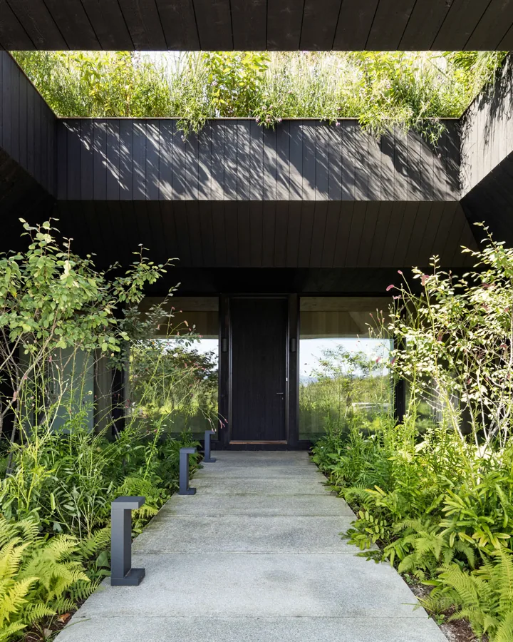 A covered entry walk under a planted roof at Ridgeline in Stowe